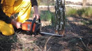 Best Lot and Land Clearing  in Cana, VA