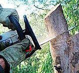 Best Utility Line Clearance  in Cana, VA